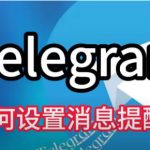 Telegram如何管理消息和通知设置？|Telegram下载