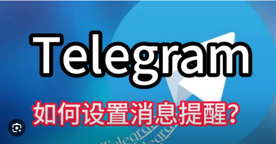 Telegram如何管理消息和通知设置？