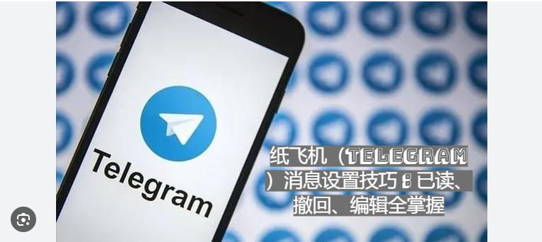 Telegram如何查看已读状态？